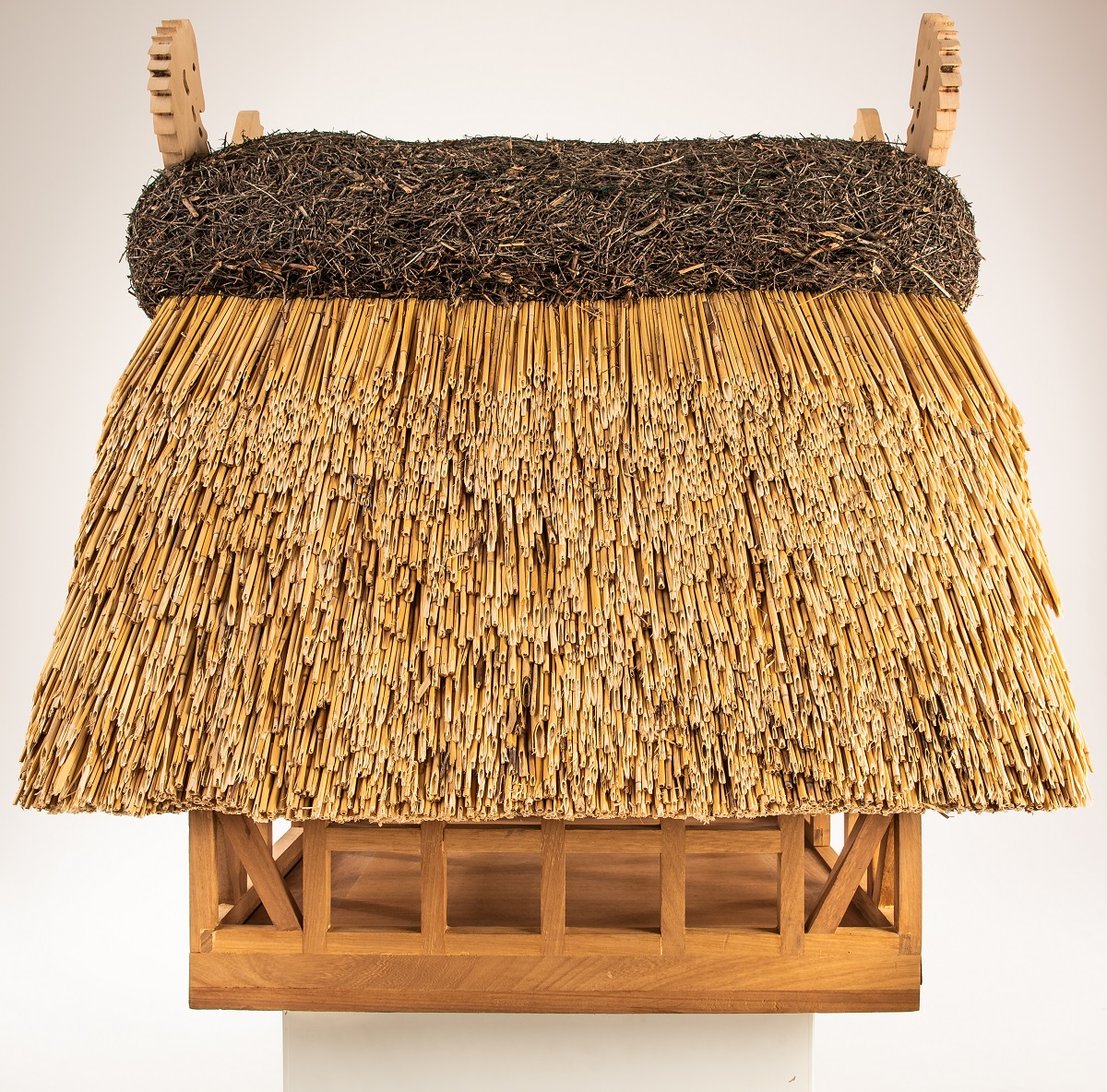 Reet Vogelhaus Fehmarn – Bild 8