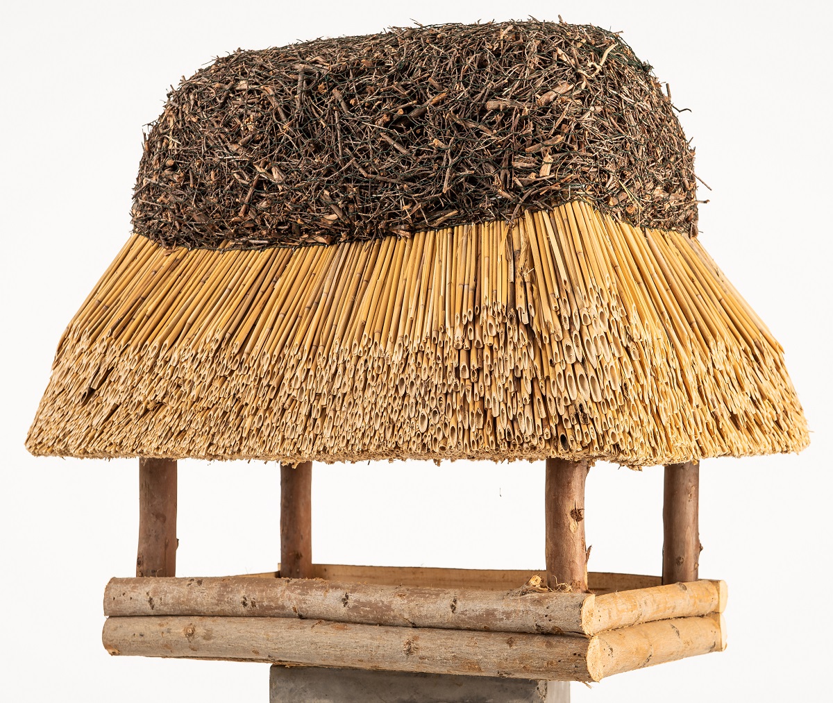 Reet Vogelhaus Usedom – Bild 4